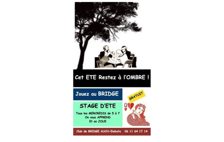 CET ETE restez à l'OMBRE et JOUEZ au BRIDGE